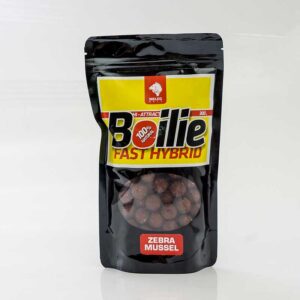 Fast Hybrid boilie- Zebra Mussel